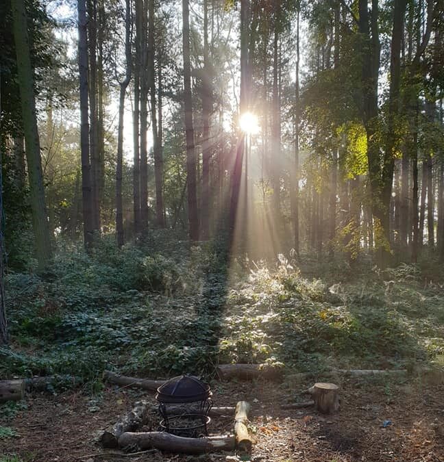 How safe is Forest School?