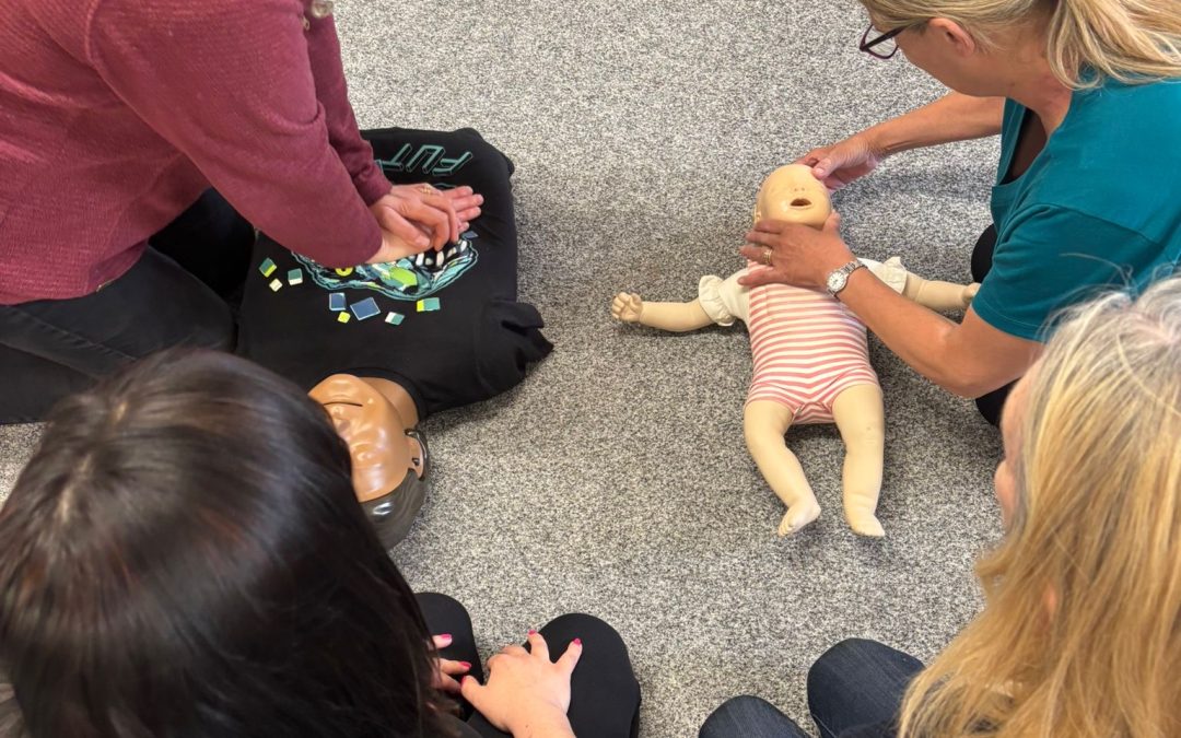 All Castle Lane staff now qualified in Paediatric first aid
